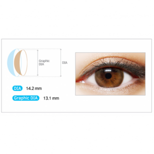 LENS-ME Sherbet Brown (日拋)